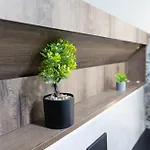 木屋 Golden Peak *